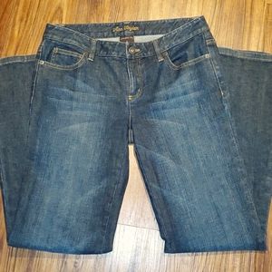 Ann Taylor modern fit jeans